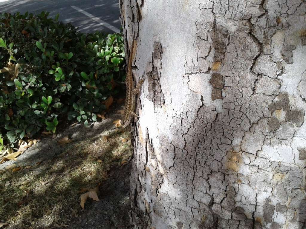 Gallup Fire Protection | 1 Capistrano Vly Rate Ctr, Mission Viejo, CA 92694, USA | Phone: (949) 363-7363