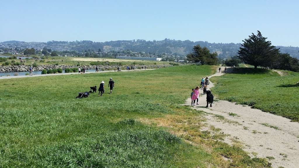 Point Isabel Regional Shoreline | 2701 Isabel St, Richmond, CA 94804 | Phone: (888) 327-2757