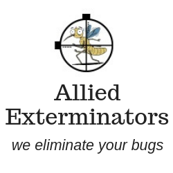 Allied Exterminators | 1203 Chickasaw Dr, Montgomery, TX 77316, USA | Phone: (936) 247-2282