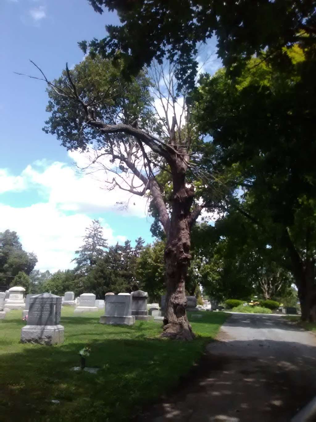 Dillsburg Cemetery | Dillsburg, PA 17019