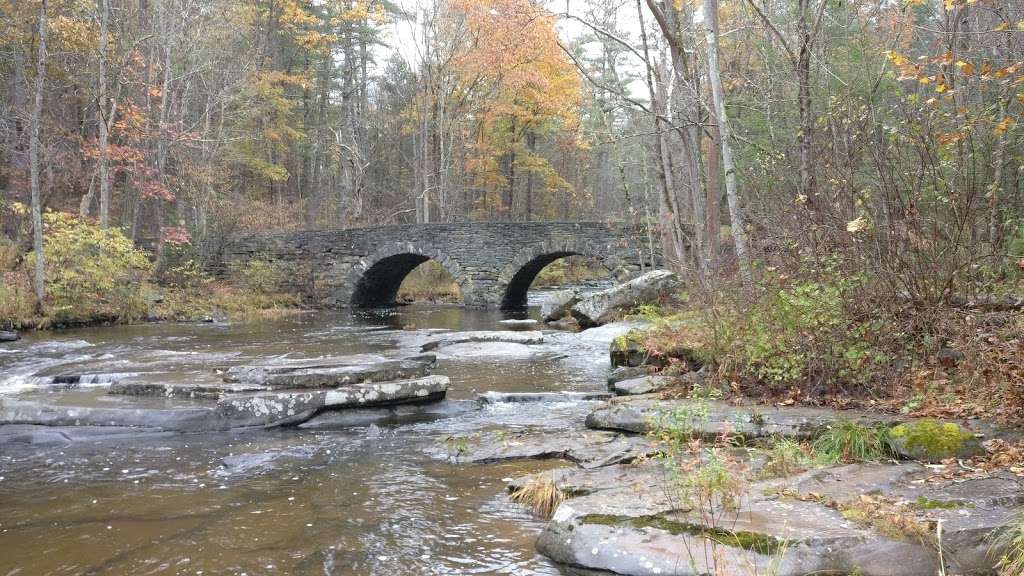 Tusten Mountain Trail | Narrowsburg, NY 12764, USA