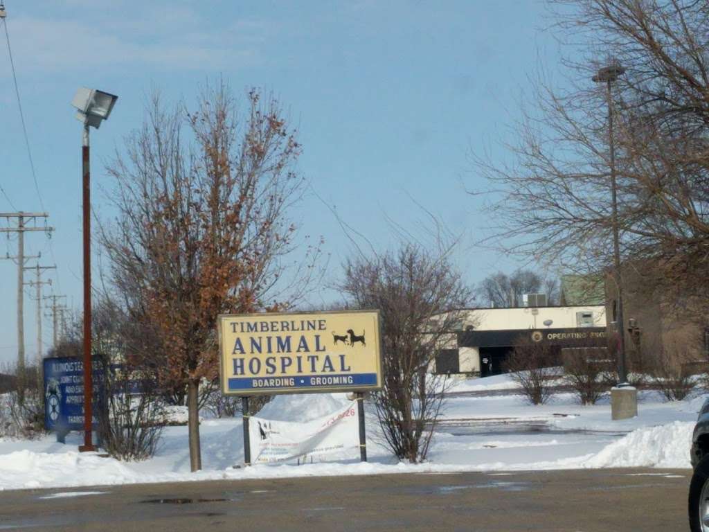 Timberline Animal Hospital | 950 NE Frontage Rd, Joliet, IL 60431, USA | Phone: (815) 729-1555