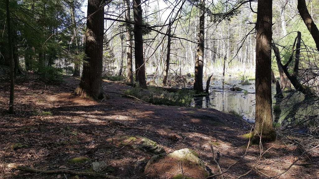 Musquash Conservation Area | Londonderry, NH 03053, USA