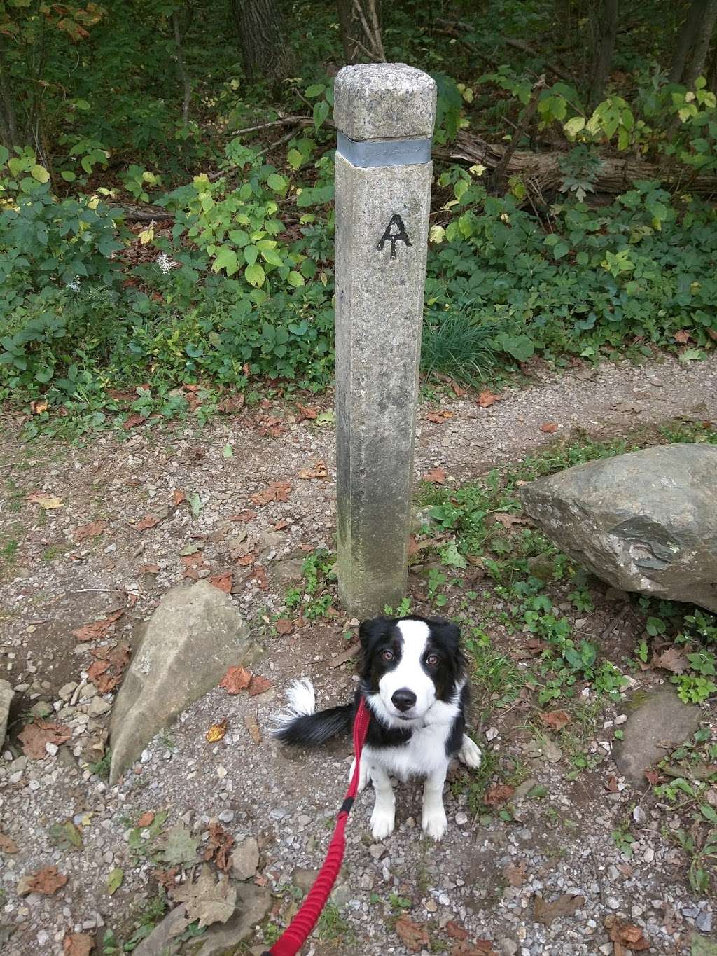 Appalachian Trail Access (Fm Blue Ridge Mtn Rd) | Appalachian Trail, Paris, VA 20130, USA