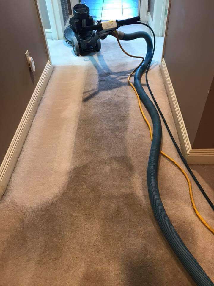 Americas Choice Carpet Cleaning | 4824 Appleseed Ct, San Antonio, TX 78238, USA | Phone: (210) 901-3556