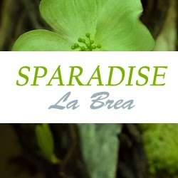 Sparadise La Brea | 1251 South La Brea Ave, Los Angeles, CA 90019, USA | Phone: (323) 857-0228