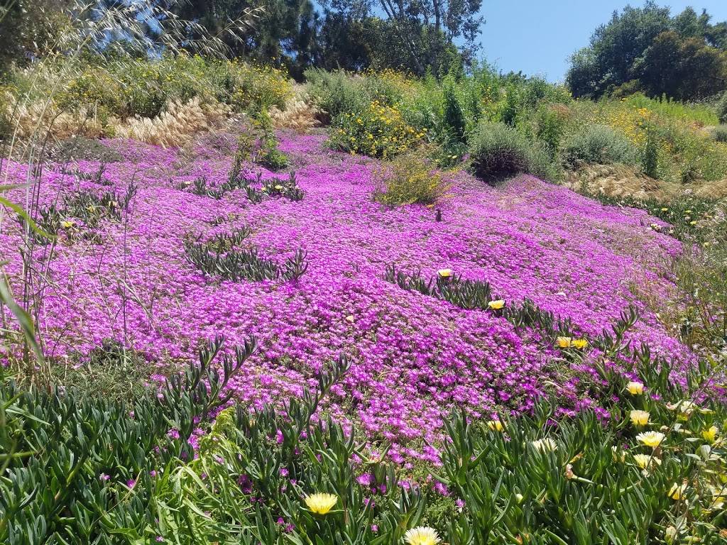 Rustic Canyon Recreational Park | 102-178 Latimer Rd, Santa Monica, CA 90402, USA