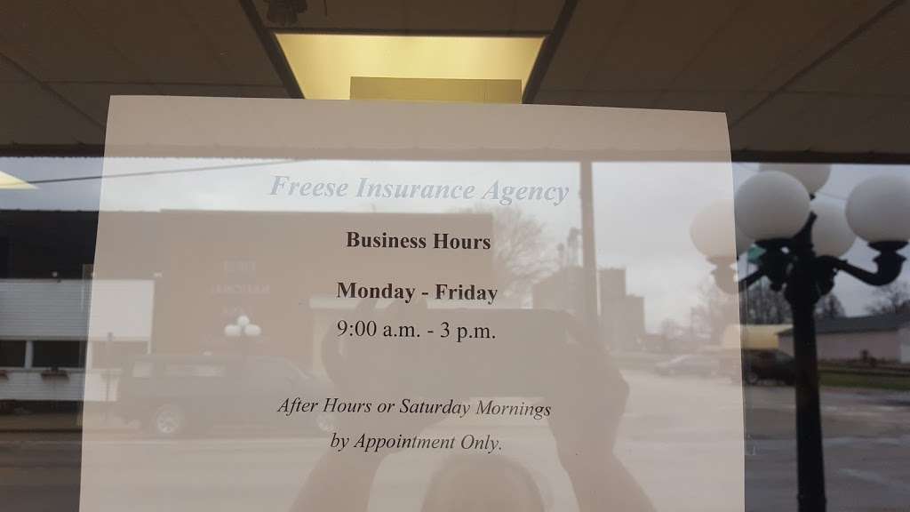 Freese Insurance | 100 W Main St, Grand Ridge, IL 61325, USA | Phone: (815) 249-6228