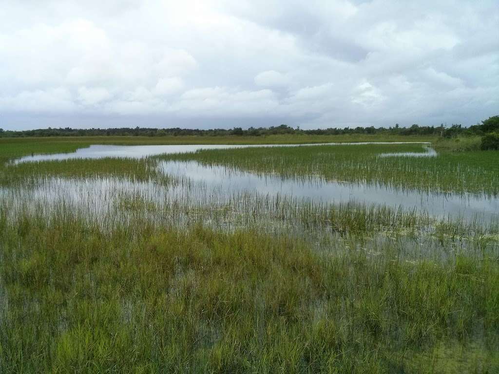 Chapel Trail Nature Preserve | 19800 Sheridan St, Pembroke Pines, FL 33332, USA | Phone: (954) 450-6895