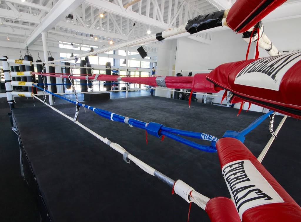 Mickey Demos - Boxing & Fitness | 4940 NW 7th Ave, Miami, FL 33127, USA | Phone: (305) 968-9620