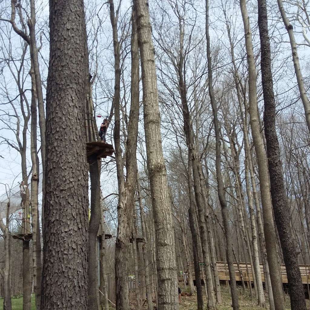 Go Ape | 5901 Delong Rd, Indianapolis, IN 46254, USA | Phone: (800) 971-8271