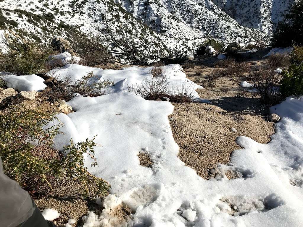 Strawberry peak west ridge trail | Colby Cyn Trail, Palmdale, CA 93550, USA