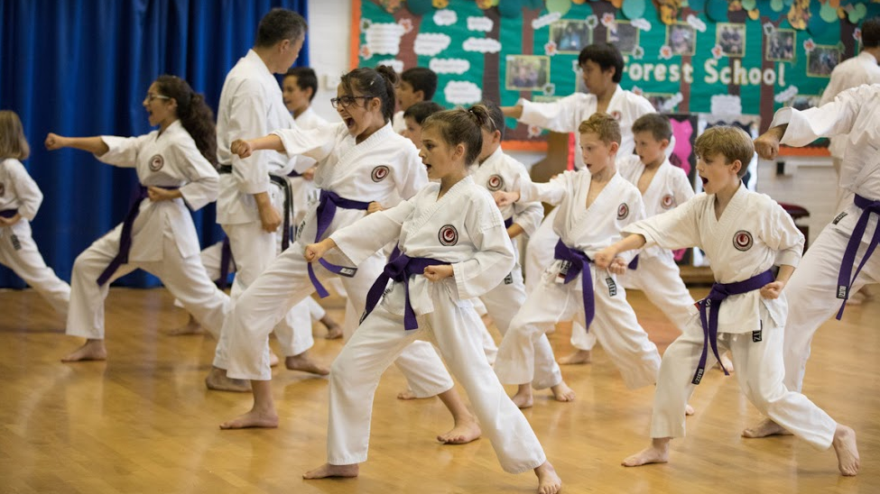 Bromley & South East London JKA Karate Club | 147 Central Hill, London SE19 1RS, UK | Phone: 07870 928424