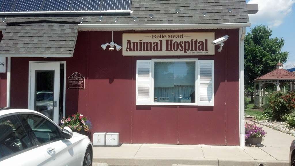 Belle Mead Animal Hospital | 872 US-206, Hillsborough Township, NJ 08844, USA | Phone: (908) 874-4447