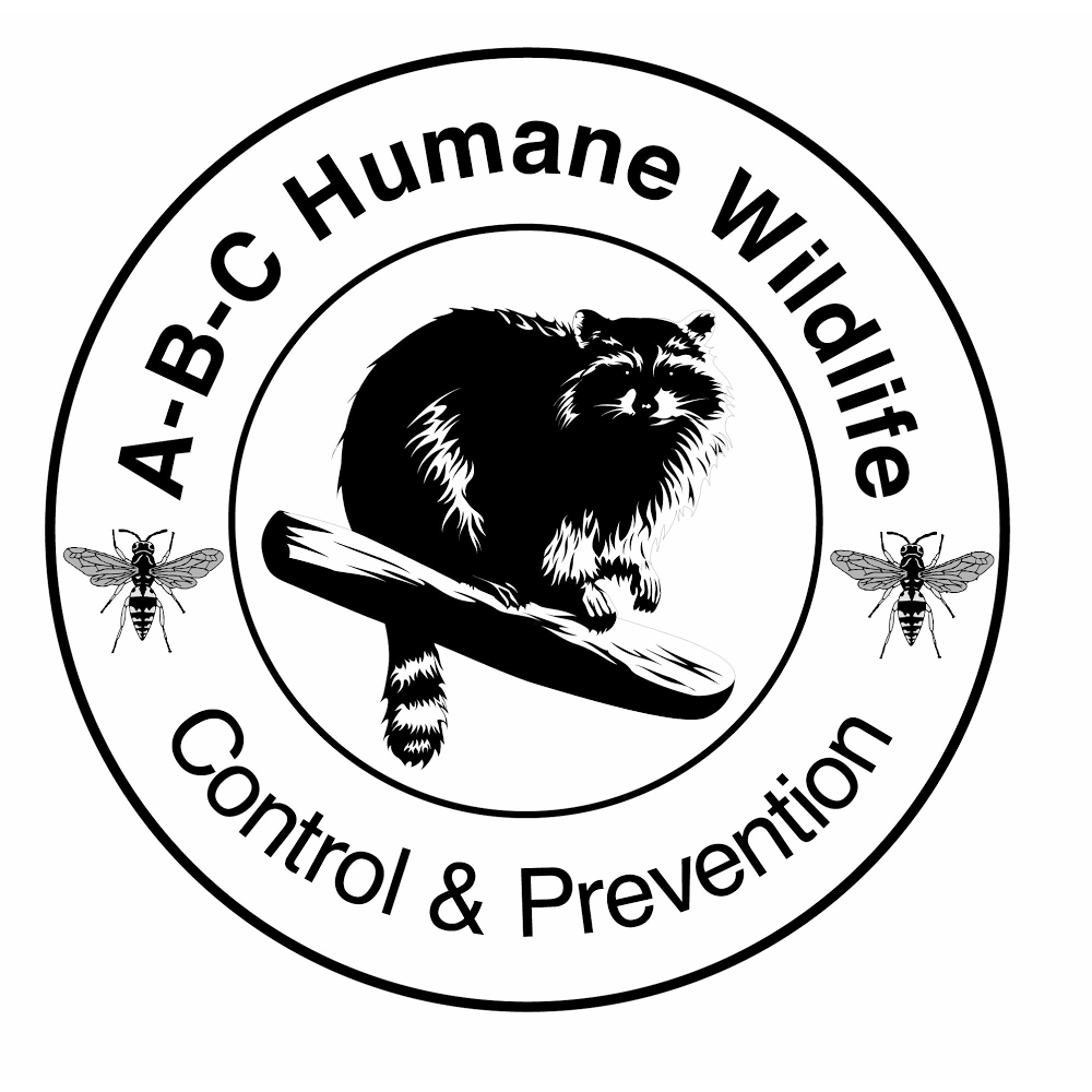 ABC Humane Wildlife Control and Prevention Inc. | 1845 W Rand Rd #108, Arlington Heights, IL 60004, USA | Phone: (847) 870-7175