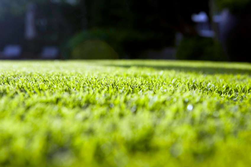 Tailor Made Lawns | 1003 W 1st St, Conover, NC 28613 | Phone: (828) 465-4070