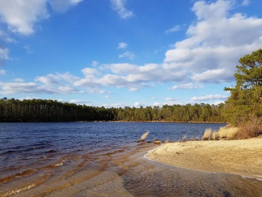 Stafford Forge Wildlife Management Area | West Creek, NJ 08092, USA