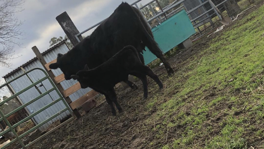 clagg feed and supply | 5168walnut rd, Vacaville, CA 95687, USA | Phone: (707) 471-8374