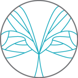 Francesca Lily Yoga | St. Marys Ln, Upminster RM14 3XB, UK | Phone: 07903 875584