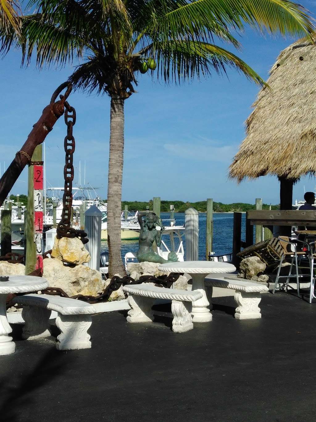 Blowing Rocks Marina/Tiki Bar | 18487 SE Federal Hwy, Jupiter, FL 33469 | Phone: (561) 746-3312