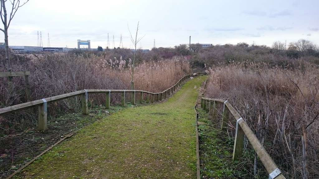 Beckton Creekside Nature Reserve | Barking IG11 0BF, UK