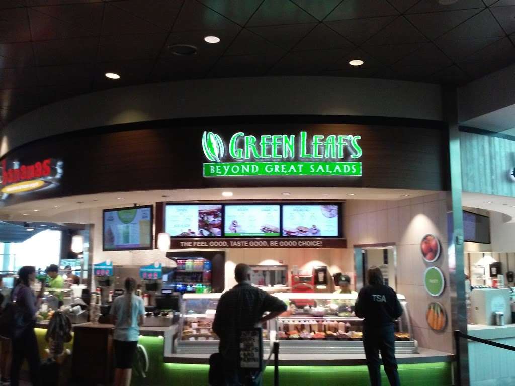 Green Leaves | 9035 Jeff Fuqua Blvd, Orlando, FL 32827, USA