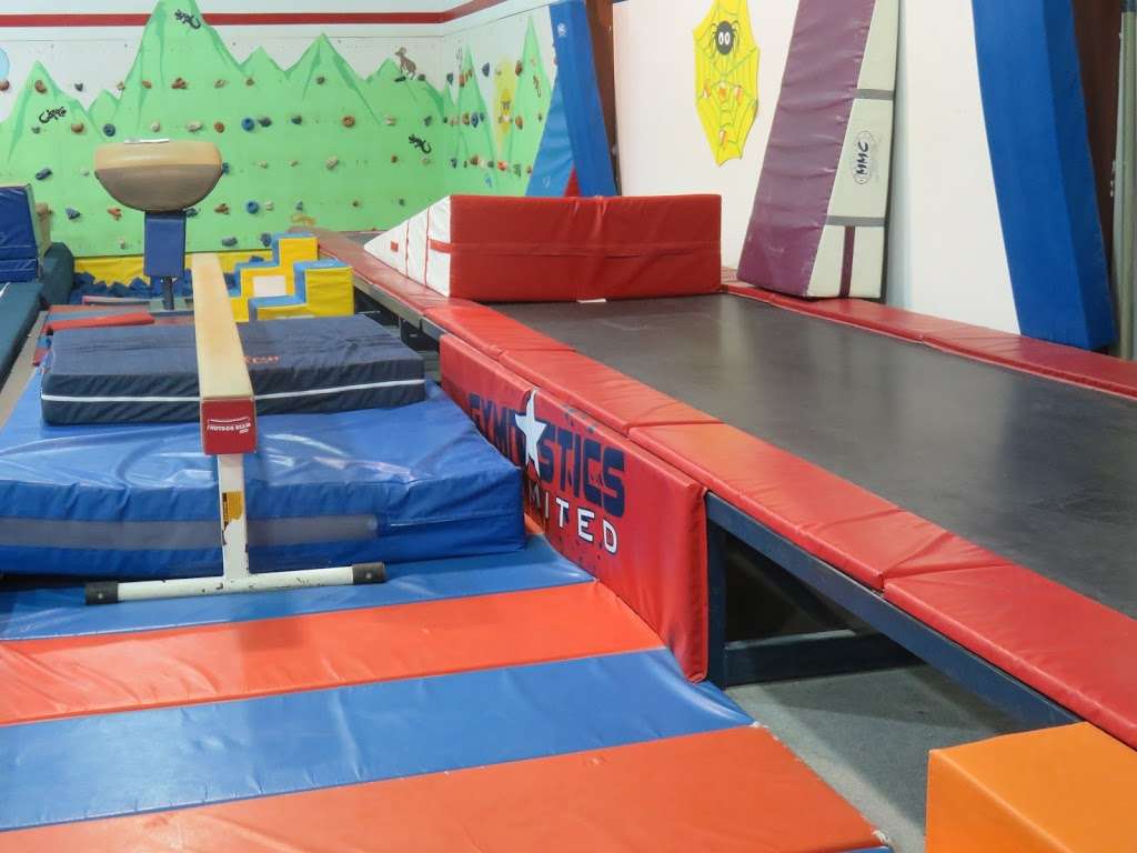 Gymnastics Unlimited | 2 Lilac Dr, Flemington, NJ 08822, USA | Phone: (908) 782-8887