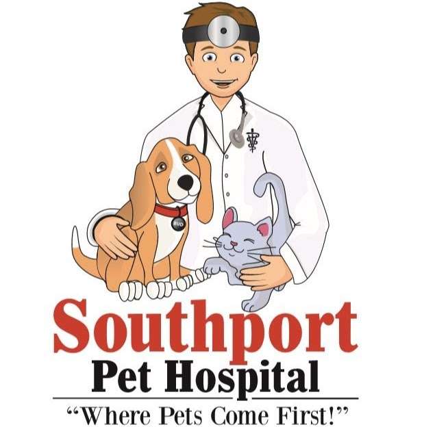 Southport Pet Hospital | 6955 Madison Ave, Indianapolis, IN 46227, USA | Phone: (317) 786-1483