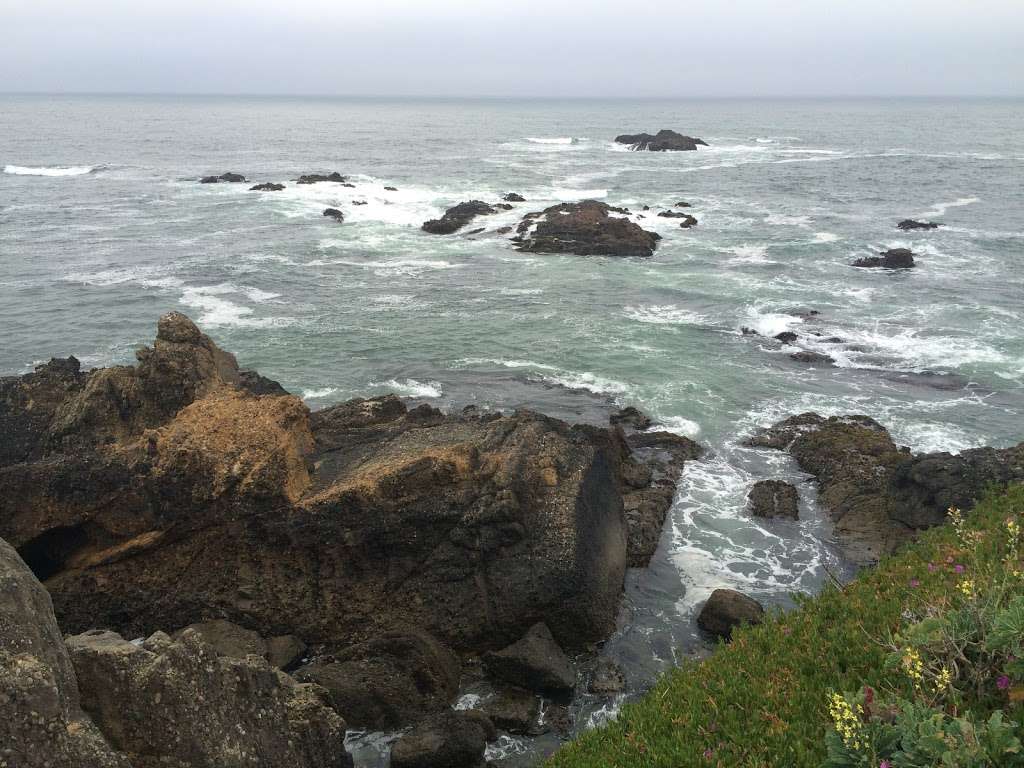 Lighthouse Ranch Open Space | Pigeon Point Rd, Pescadero, CA 94060, USA | Phone: (650) 854-7696