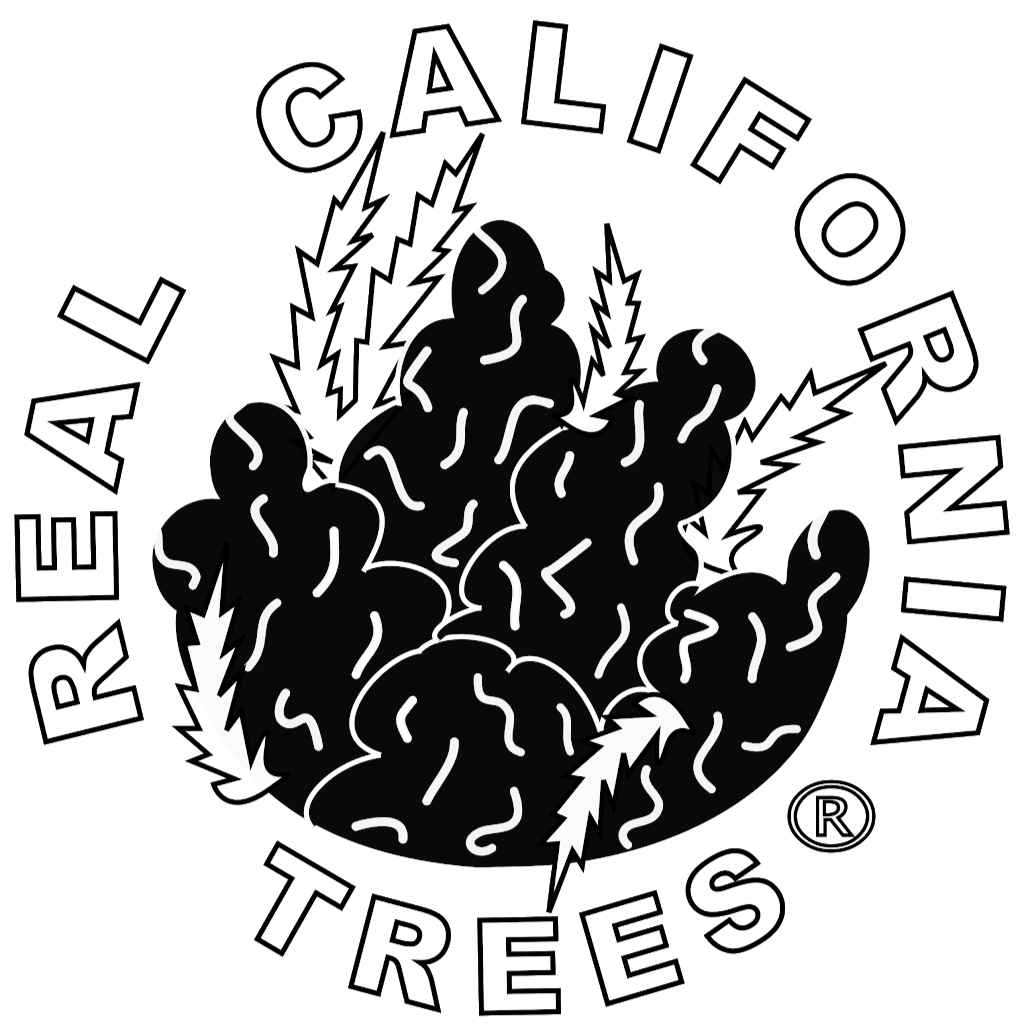 Real California Trees Clothing® | Houston, TX 77053 | Phone: (510) 717-5849