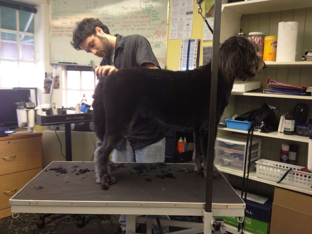 Houston Pet Grooming Academy | 6727 1/2 Weslayan St, Houston, TX 77005, USA | Phone: (713) 253-5757