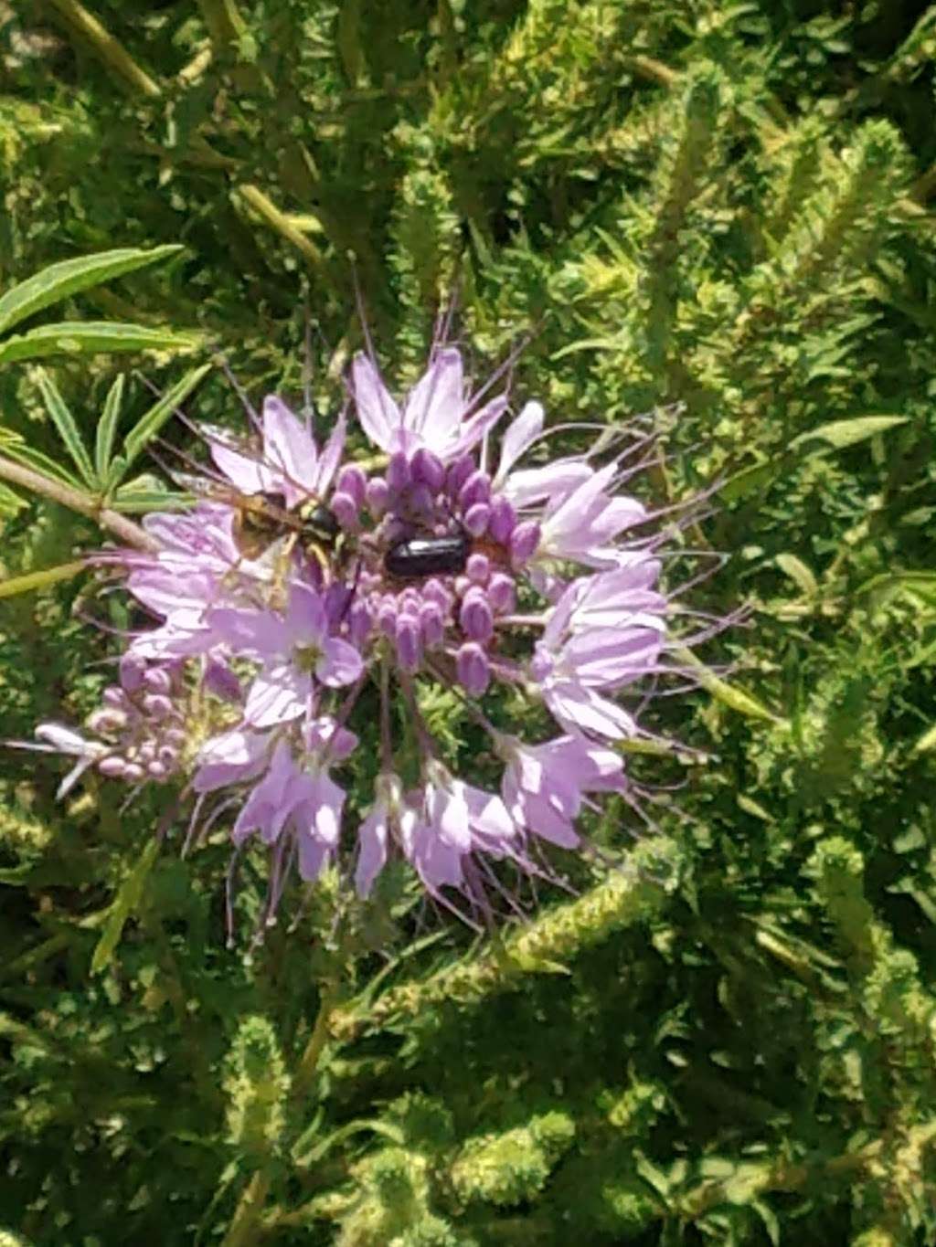 Poudre River Trail - Poudre River Ranch Natural Area | 638 N 71st Ave, Greeley, CO 80634, USA