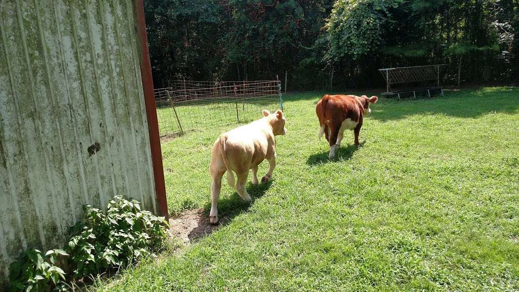 Huffman Collision Center | 30737 Huffman Cleveland Rd, Huffman, TX 77336, USA | Phone: (281) 361-5600