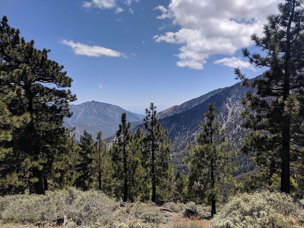 Jackson Flat Group Campground | Angeles Crest Hwy, Wrightwood, CA 92397, USA | Phone: (626) 574-1613
