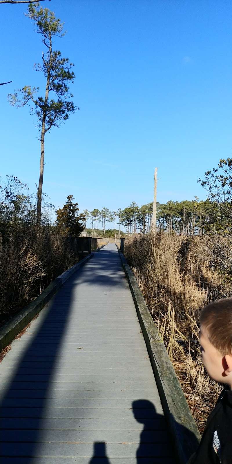 Natter Park | 719A Treetop Ln, Bethany Beach, DE 19930, USA