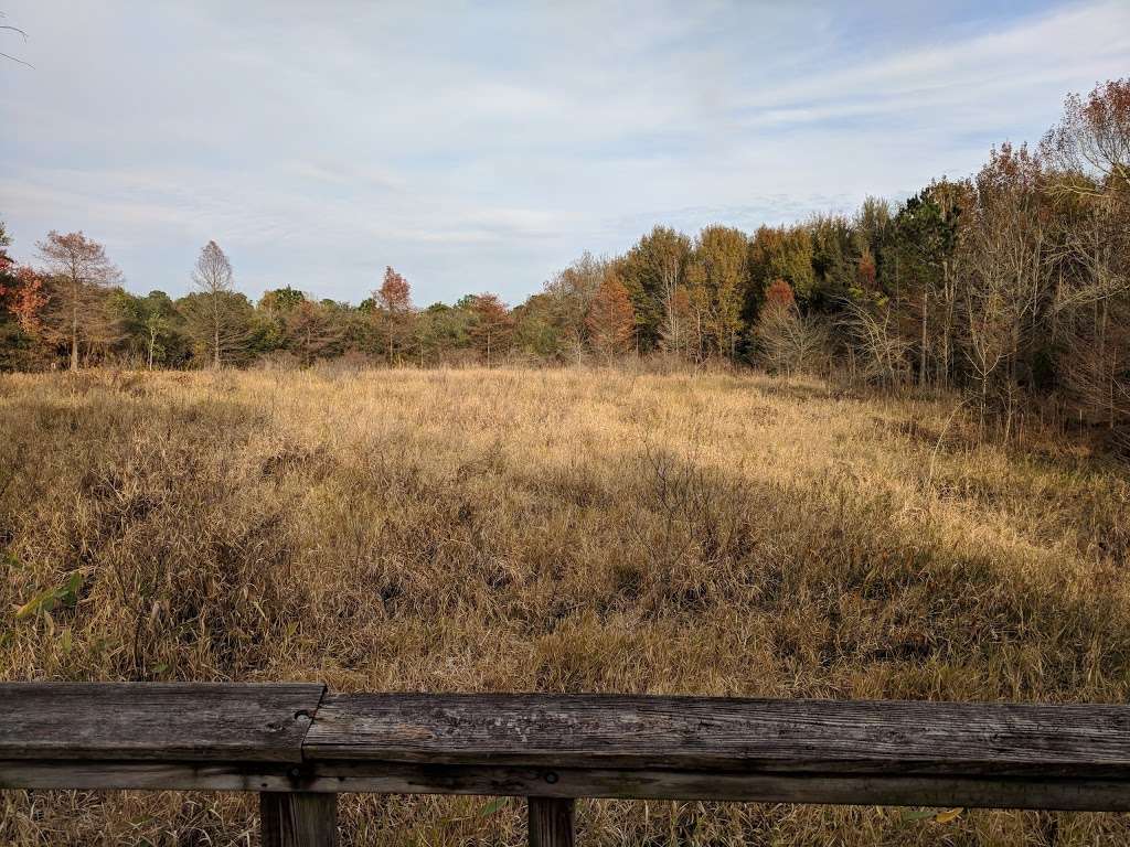 Pine Brook South Wetlands | Park Path, Houston, TX 77059, USA | Phone: (281) 280-9944