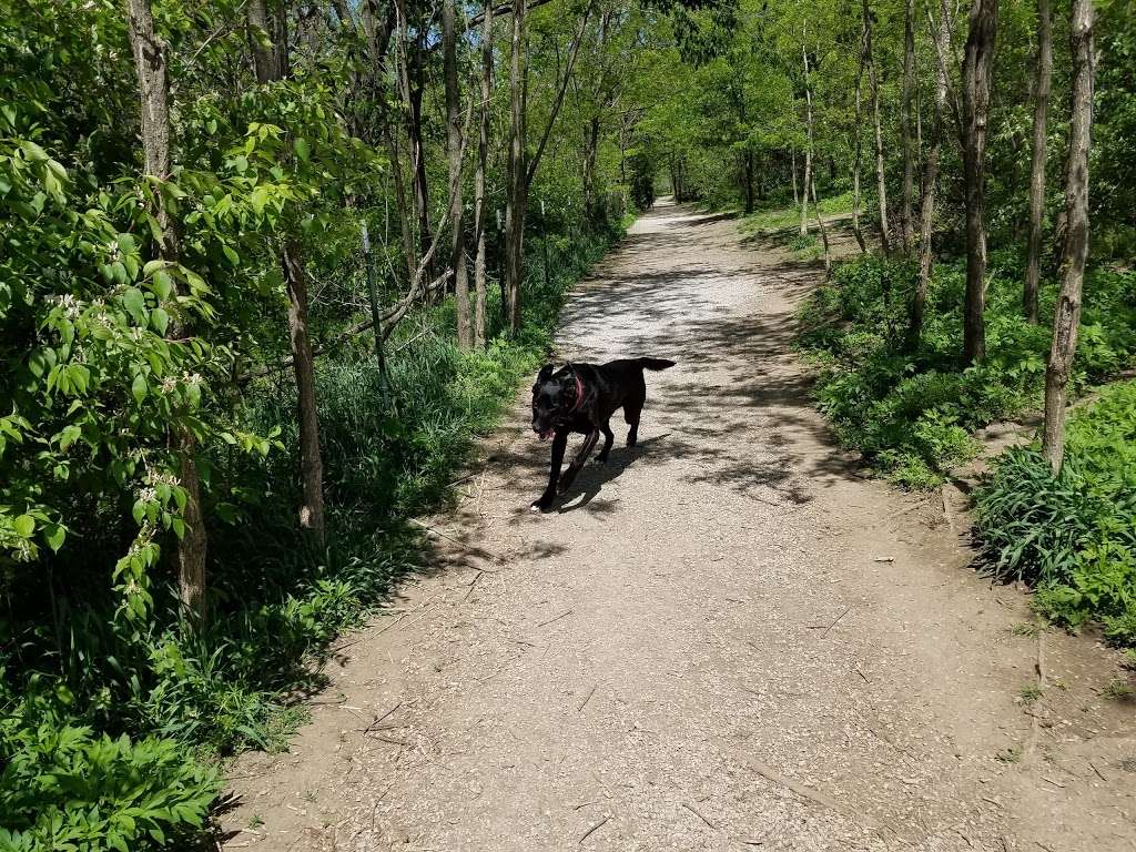 Stoll Off-Leash Dog Park | 12500 W 119th St, Overland Park, KS 66210 | Phone: (913) 782-0720