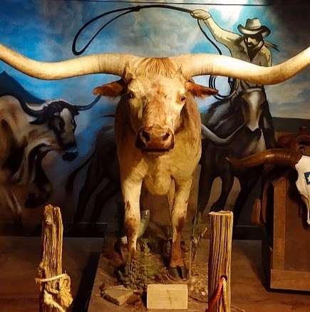 Butler Longhorn Museum | 1220 Coryell St, League City, TX 77573 | Phone: (281) 332-1393