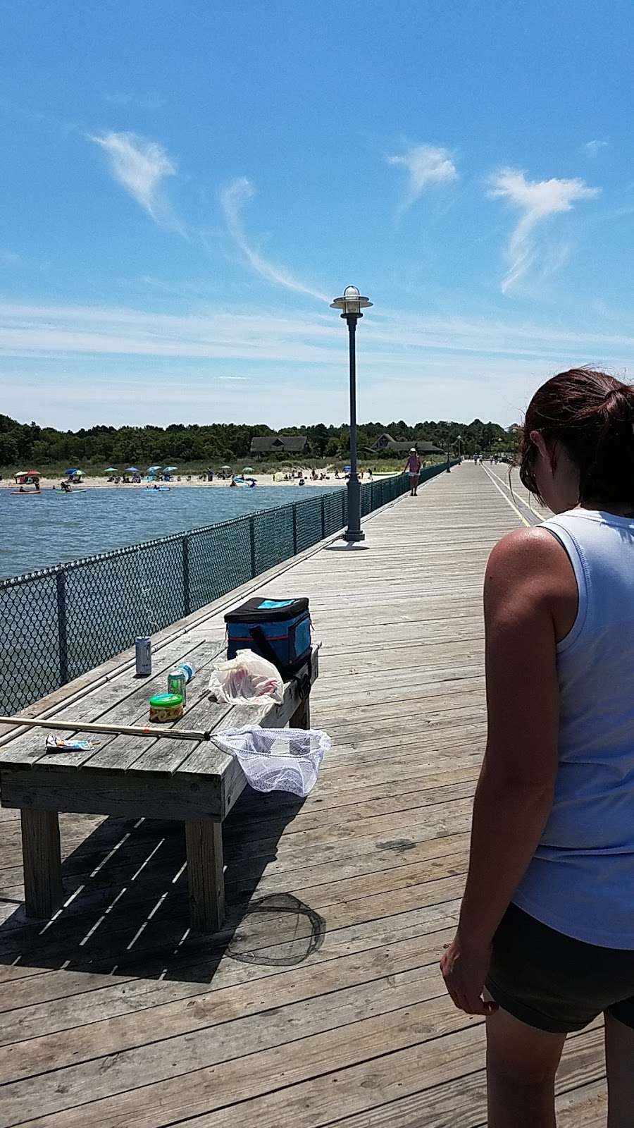 lighthouse bait and tackle