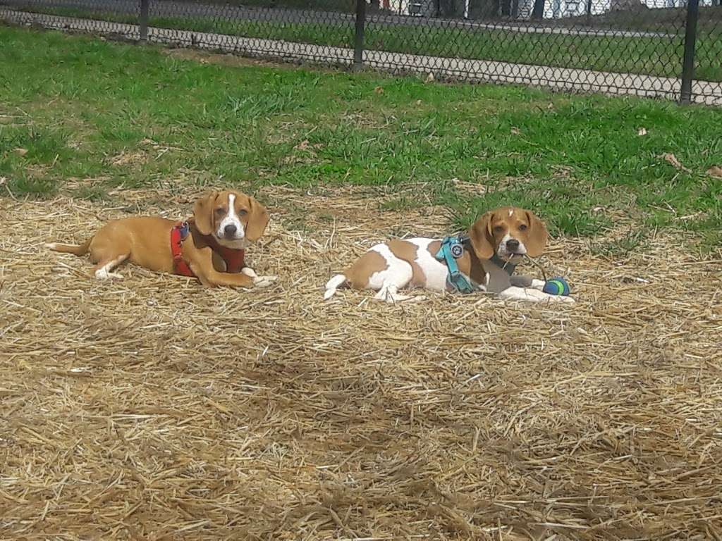 Academy Street Park and Mooresville Kindness Closet | 601 S Academy St, Mooresville, NC 28115, USA | Phone: (704) 663-3800 Academy Street Park and Mooresville Kindness Closet | 601 S Academy St, Mooresville, NC 28115, USA | Phone: (704) 663-3800