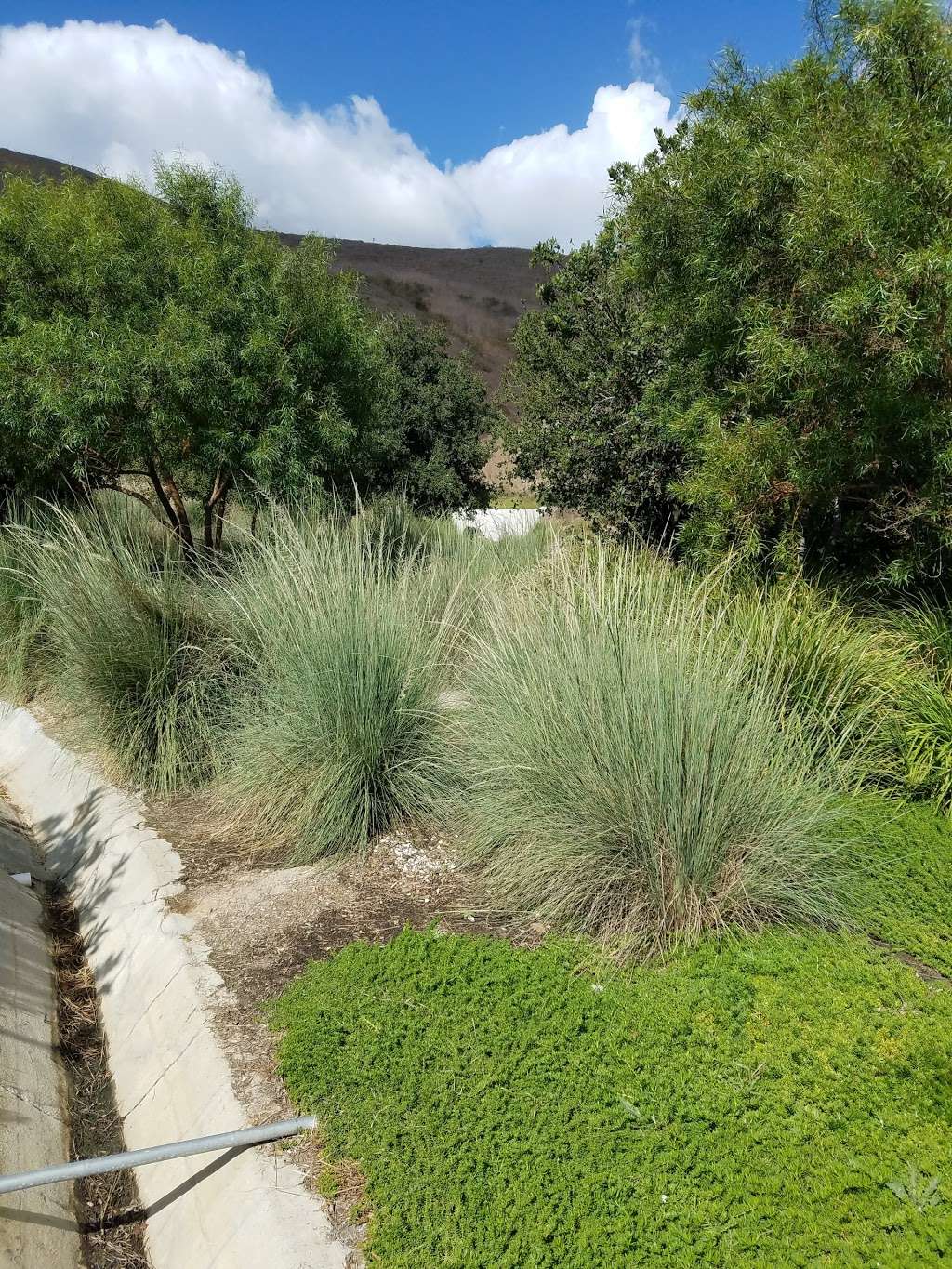 Terramor Gardens | 15 Copious Lane, Ladera Ranch, CA 92694