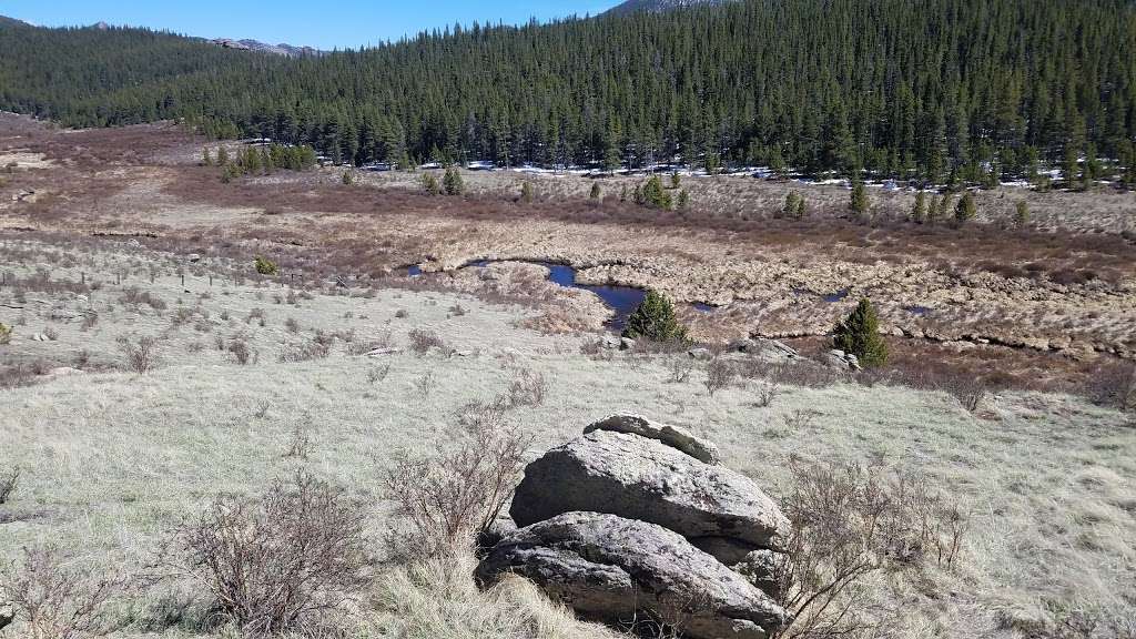Lost Creek Campground | Co Rd 56, Jefferson, CO 80456 | Phone: (719) 836-2031