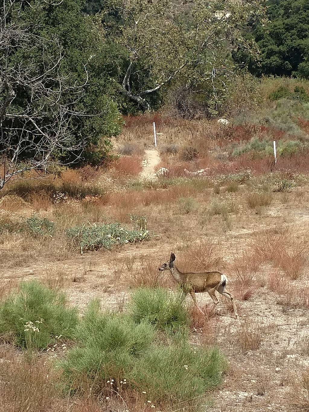 Rosemont Preserve | La Crescenta, CA 91214, USA | Phone: (626) 796-0782 Rosemont Preserve | La Crescenta, CA 91214, USA | Phone: (626) 796-0782