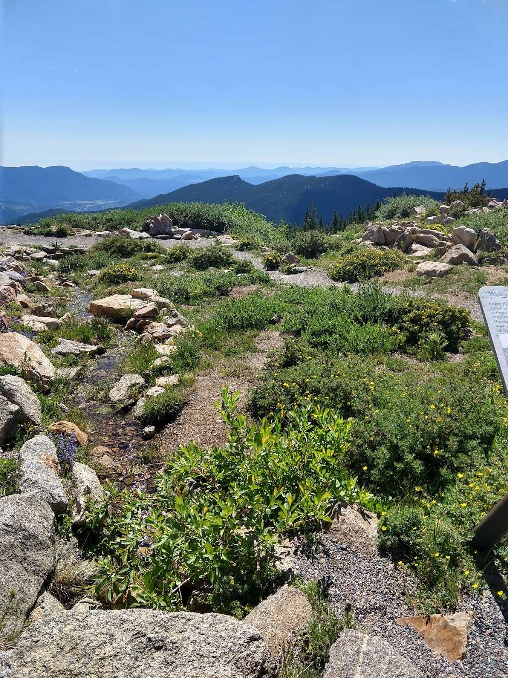 Mount Goliath Natural Area | Mt Evans Rd, Evergreen, CO 80439, USA