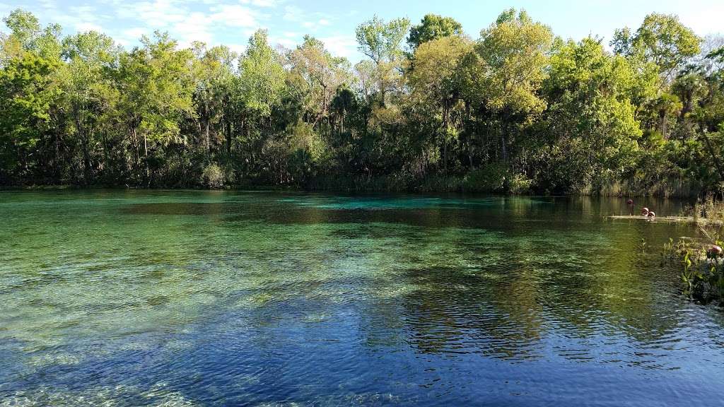 Alexander Springs Recreation Area | 49525 County Rd 445, Altoona, FL 32702, USA | Phone: (352) 669-3522