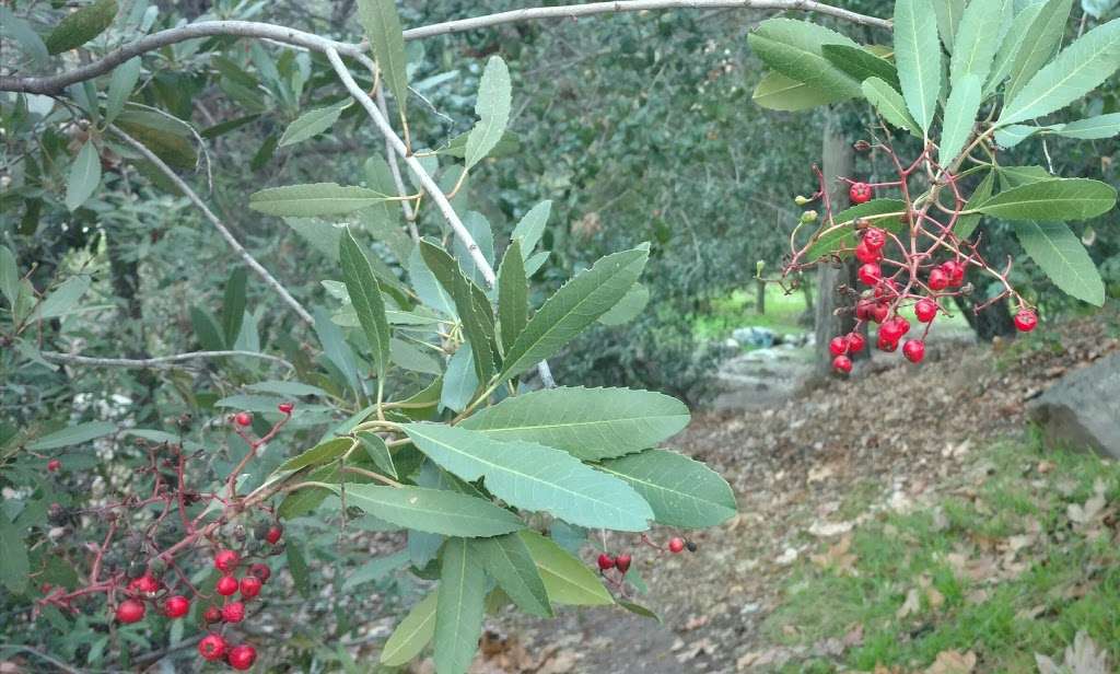 Old LA Zoo Picnic Area | Los Angeles, CA 90027