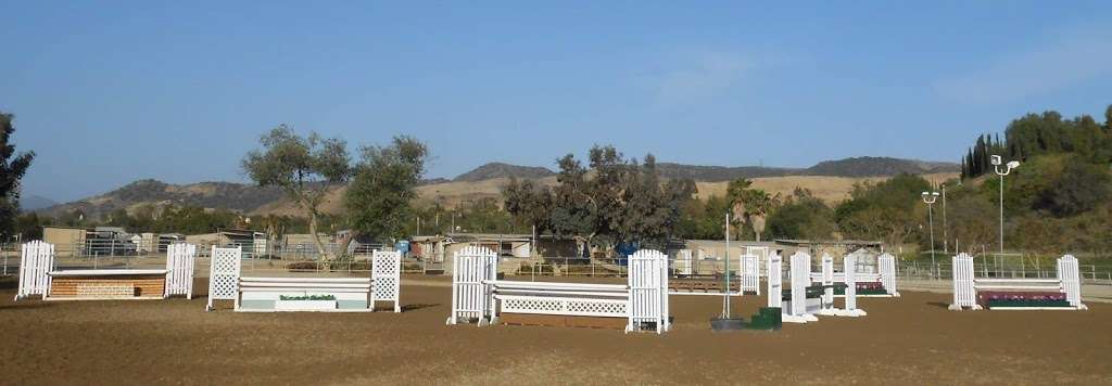 Ivy Gate Farm Mary Morrison Owner & Head Trainer | 28411 San Juan Creek Rd, San Juan Capistrano, CA 92675 | Phone: (949) 443-1903