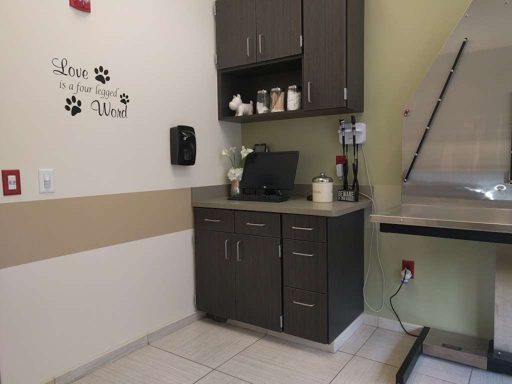 VCA Hillsboro Animal Hospital | 5619 Regency Lakes Blvd, Coconut Creek, FL 33073, USA | Phone: (954) 428-5599