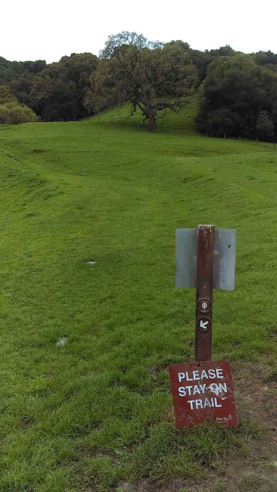 Elworthy Staging Area, Las Trampas Regional Wilderness | Danville, CA 94526, USA