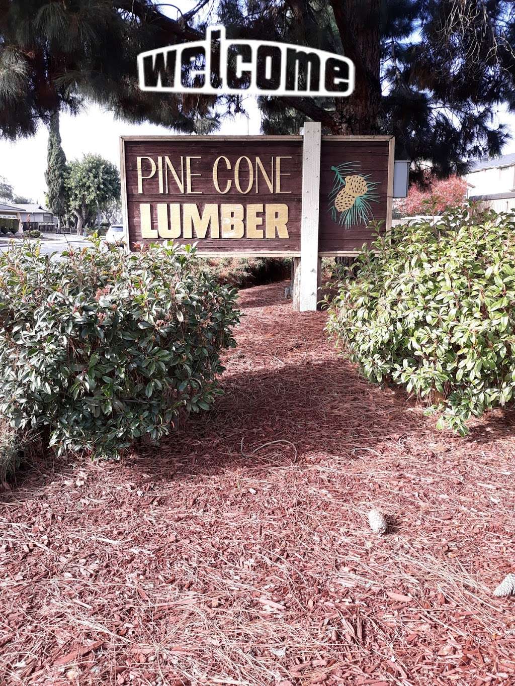 Pine Cone Lumber Co | 895 E Evelyn Ave, Sunnyvale, CA 94086, USA | Phone: (408) 736-5491